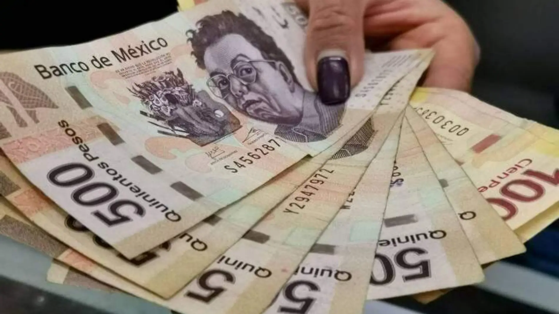 dinero billetes pago utilidades salario